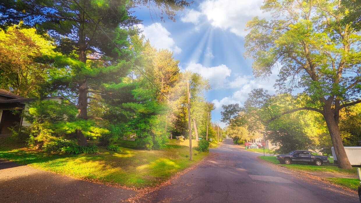 402 St Croix Ave W, Stillwater, MN 55082 Townhouse for Rent in