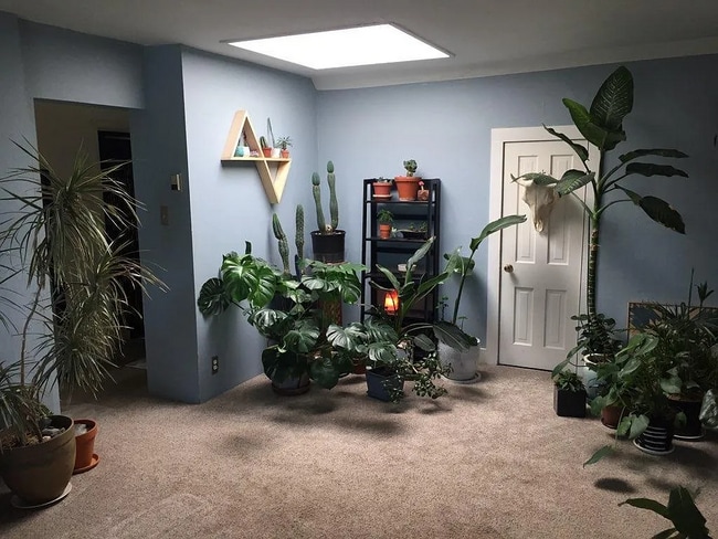 Foto del edificio - 925 Grandview Ave