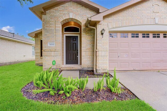 Foto del edificio - 9019 Canton Park Ln