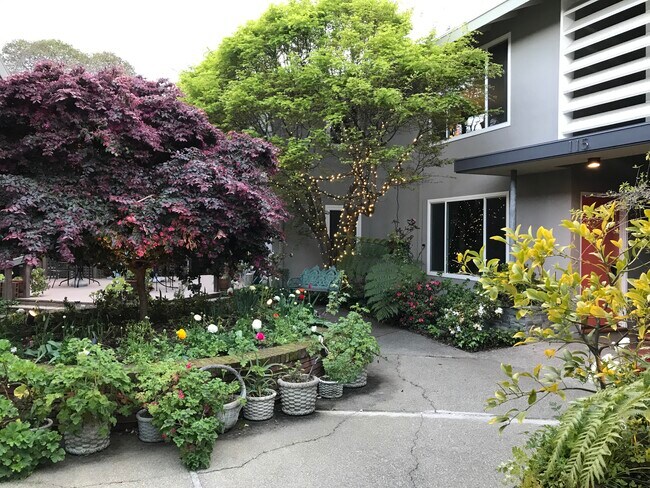 Courtyard - 111 Elm St