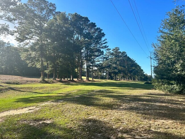 Amplio patio trasero con vistas al campo de golf y a un sendero para caminar. - 113 Penny Ln
