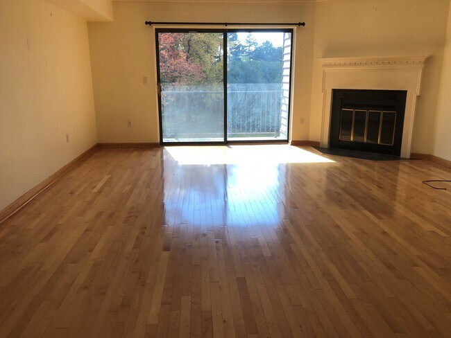 Living Rm, Fireplace, Terrace - 9 Whitman Ct