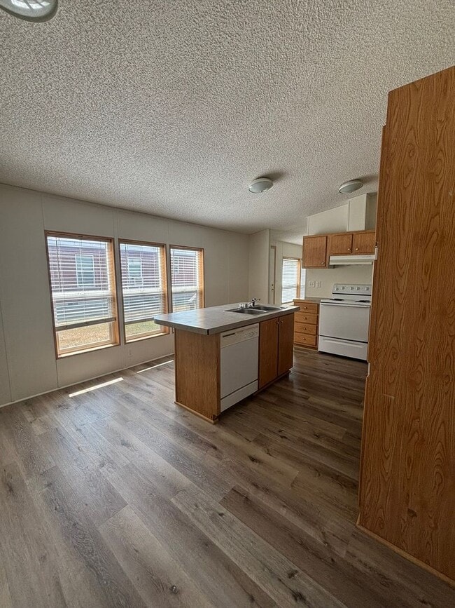Foto del edificio - 221 Silver Maple Dr