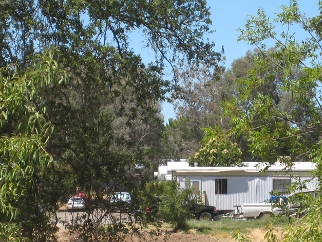 Building Photo - Homewood Antelope Park