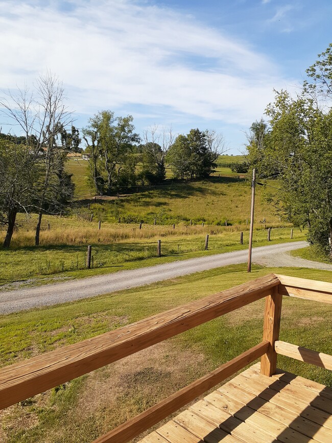 view from front deck and lane into house - 13 Williams Ln