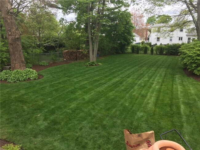 Foto del edificio - 253 Fairfax Dr