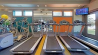 Located at 18855 Hall Rd in Macomb, Michigan, this single-story fitness center offers a comprehensive workout environment designed to support a wide range of exercise routines. The space is defined by its vaulted ceilings, which lend an open, airy quality to the interior, while linear LED lighting and recessed fixtures ensure consistent illumination throughout. Ceiling fans contribute to comfort during intense workouts.

The cardio zone is well-appointed with multiple treadmills, elliptical trainers, a rowing machine, and a stationary bike, all arranged to maximize usability. Large arched windows and clerestory windows line the walls, flooding the space with natural light and offering views of the surrounding outdoor landscape. Mounted televisions provide entertainment during cardio sessions.

The strength training area features a full dumbbell rack, cable machines, and selectorized weight equipment positioned along a mirrored wall that visually expands the space. Stability balls and additional functional training tools are also available. The flooring transitions between rubberized and cushioned surfaces, delineating workout zones while providing appropriate support. The overall design is modern and purposeful, creating an inviting environment for fitness.