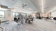 Located at 4331 34th St S in Saint Petersburg, Florida, this well-appointed fitness center offers a generously sized, single-floor workout facility designed to support a wide range of exercise routines. The space is outfitted with an extensive array of commercial-grade equipment, including Hoist strength machines, a cable and functional training tower, treadmills by TRUE Fitness, elliptical trainers, rowing machines, and a power rack with a full dumbbell rack — providing options for both cardiovascular conditioning and resistance training. The flooring throughout consists of durable, multi-toned carpet tiles that lend a clean, contemporary feel underfoot. Overhead, recessed linear LED lighting runs the length of the ceiling, delivering bright, even illumination across the entire floor. Stylish ceiling fans with brass accents complement the lighting while promoting airflow. A striking geometric mural in warm coral, teal, and neutral tones serves as a bold focal point along one wall, adding an energetic and modern aesthetic to the environment. Large windows and glass doors along one side of the room invite abundant natural light and offer views of the surrounding property. The overall design is clean, open, and functional, creating an inviting atmosphere well-suited for daily fitness use.