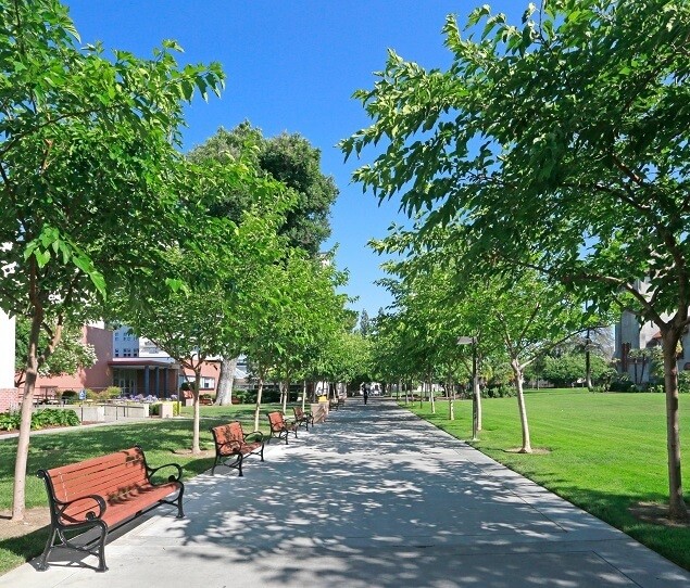 Shady walkway lined with benches