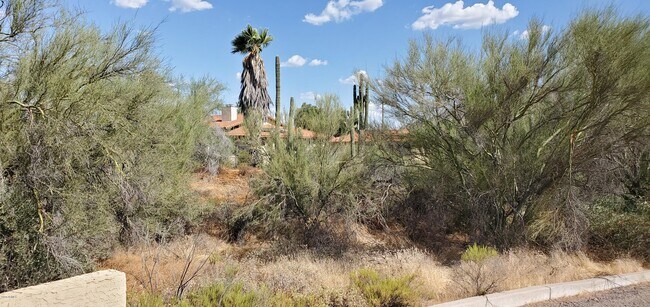 Foto del edificio - 6101 Maguay Rd