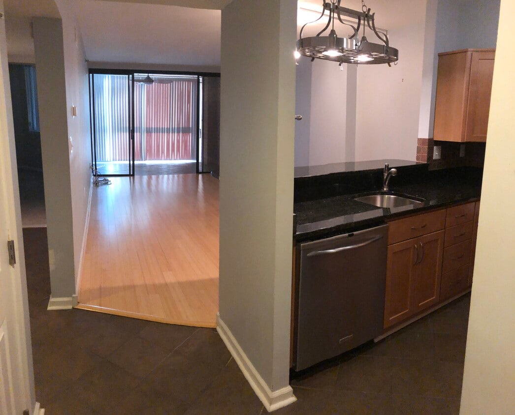 Large 1 bedroom Condo with all the fixins! - 1001 N Randolph St