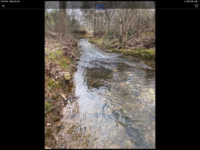 Foto del edificio - 26558 Martin Branch Rd