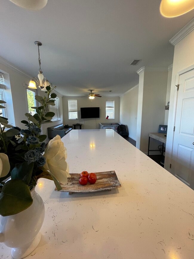 Building Photo - 860 Solimar Way