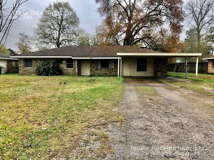 Primary Photo - 1019 Bee Tree St.