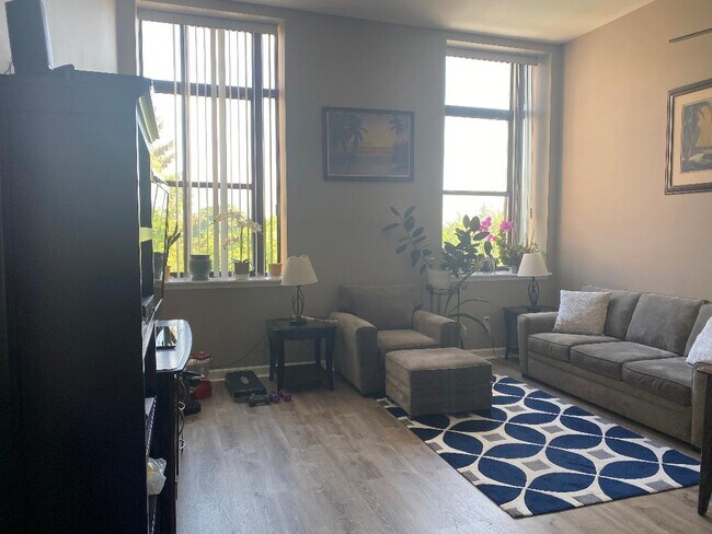 Living Room - 55 McKinley Ave