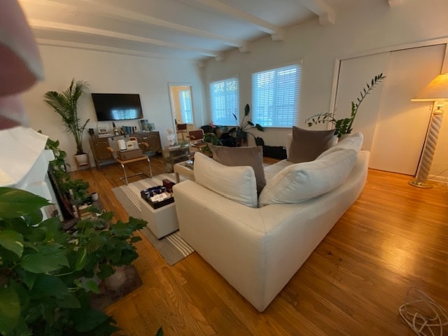 Living Room - 464 N Spaulding Ave