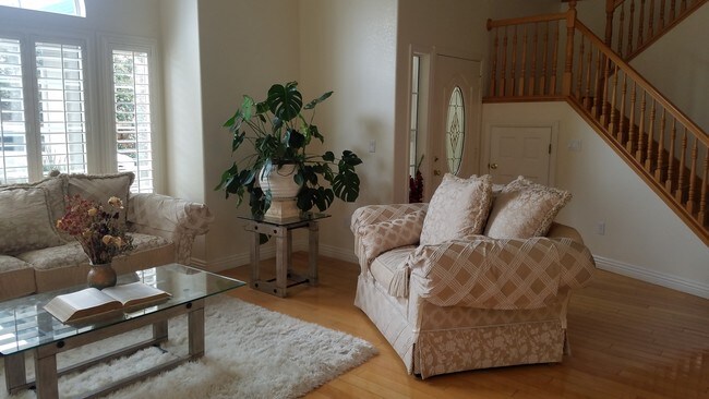Foto del edificio - 2011 Palm Meadow Ln