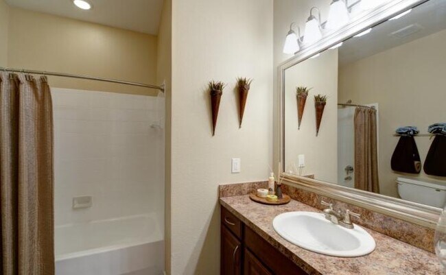 Foto del edificio - 1 bedroom in Richardson TX 75081