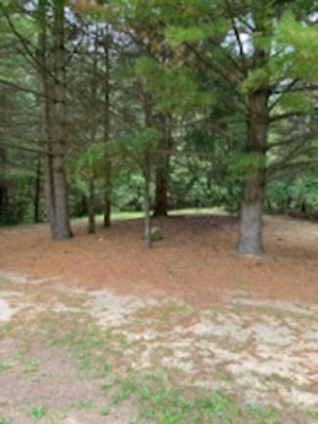 Building Photo - 4 BEDROOM HOUSE IN PINCKNEY ON 10 ACRES!