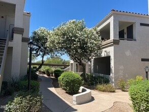 Building Photo - 11375 E Sahuaro Dr