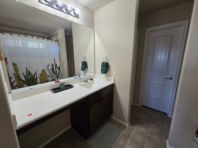 MAsterbathroom - 10116 Deer Chase Trl