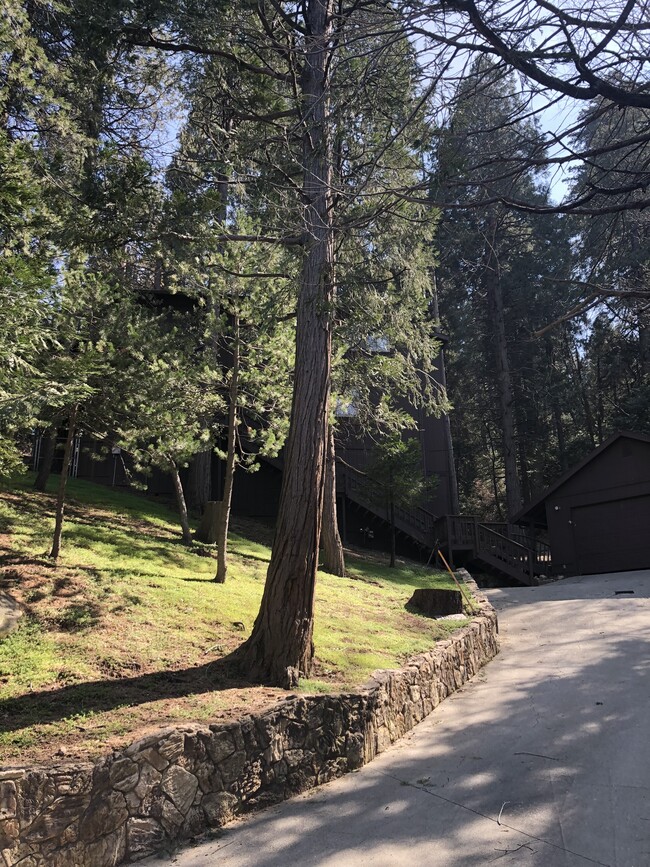 Building Photo - 24543 Albrun Dr