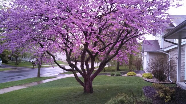 Building Photo - 3101 Dorchester Way