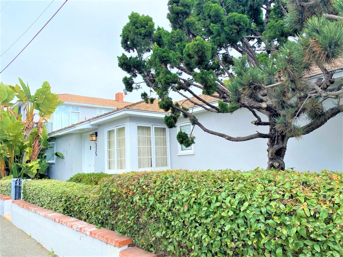 Primary Photo - 325 Los Olivos