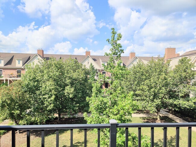 View From Balcony - 25564 Portico Ln