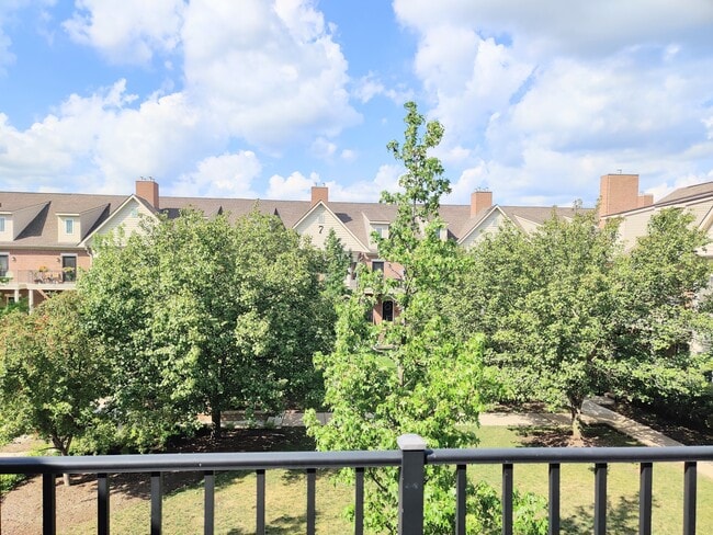 View From Balcony - 25564 Portico Ln