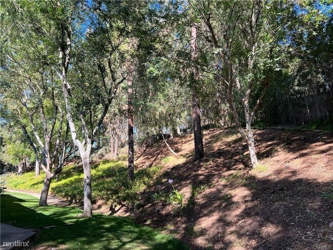 Building Photo - 3 br, 2 bath Townhome - 22042 Caminito Vino