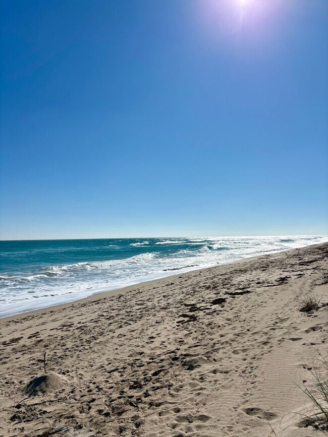 Foto del edificio - Direct Oceanfront 2/2 Condo in Stuart!