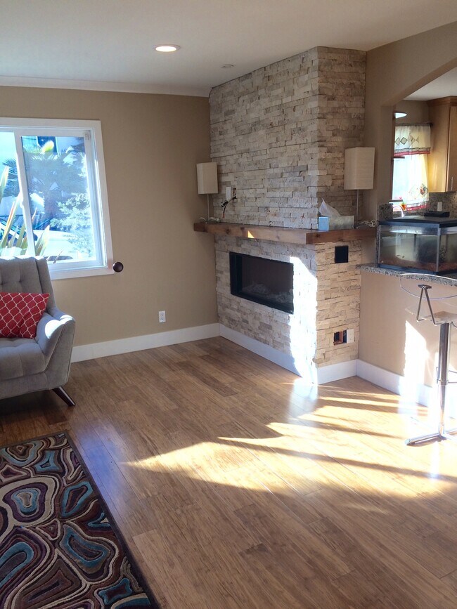 Fireplace - 205 Cleveland Ave