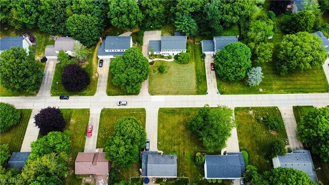 Building Photo - 4689 Treetop Dr