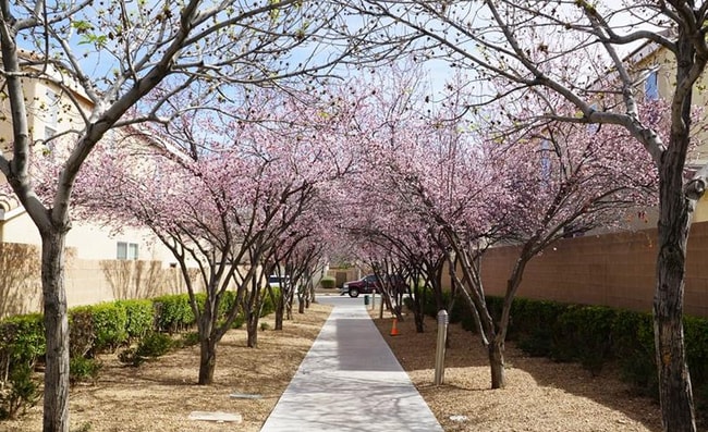 Foto del edificio - 8405 Lower Trailhead Ave