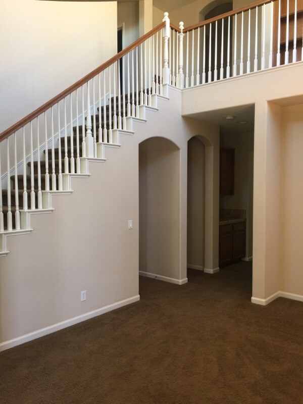Building Photo - 3309 Cypress Springs Ct