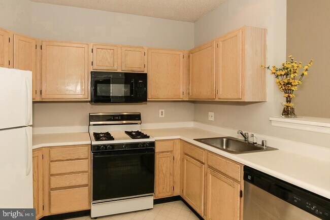 Foto del edificio - 14322 Climbing Rose Way
