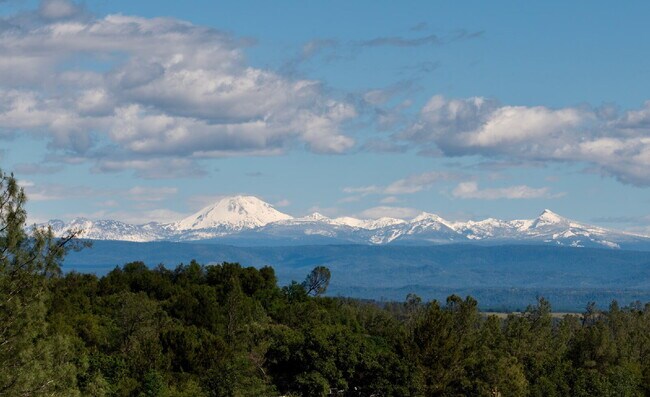 Foto del edificio - Peaceful Hilltop Retreat with Views | Unfurnished 5BD Executive Home on Private Knoll