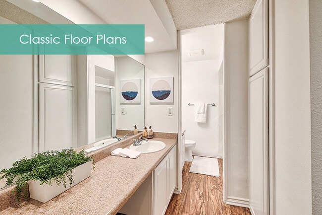 Tocador en The Meadows Apartment Homes - Meadows Apartments