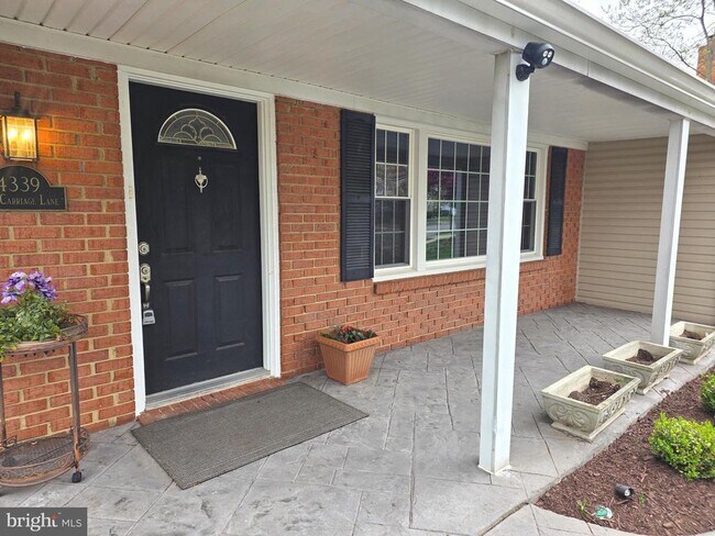 Building Photo - 4339 Mt Carriage Ln