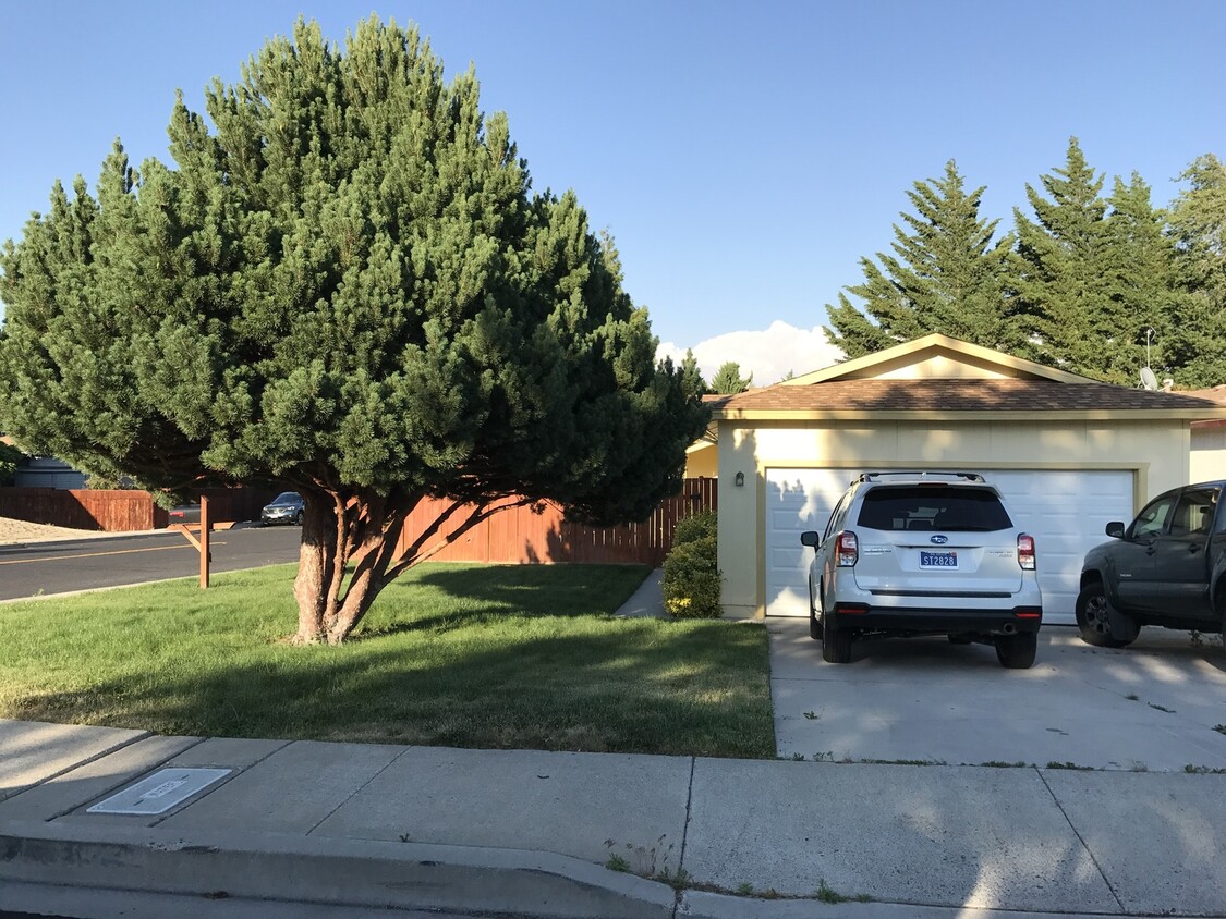 Primary Photo - Darling 3 bedroom in North West Reno owner...