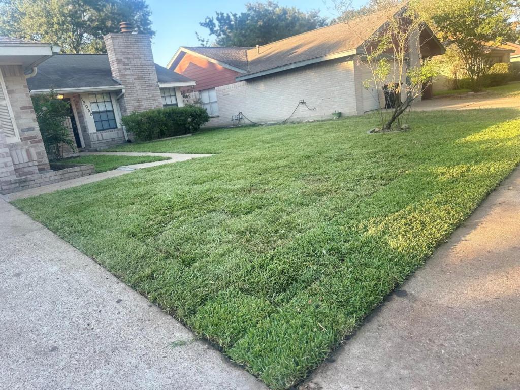 Foto principal - 12030 Hedgegate Dr