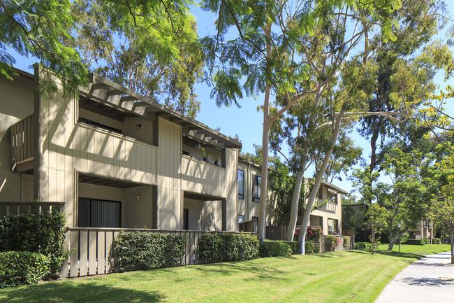 west eleven apartment homes