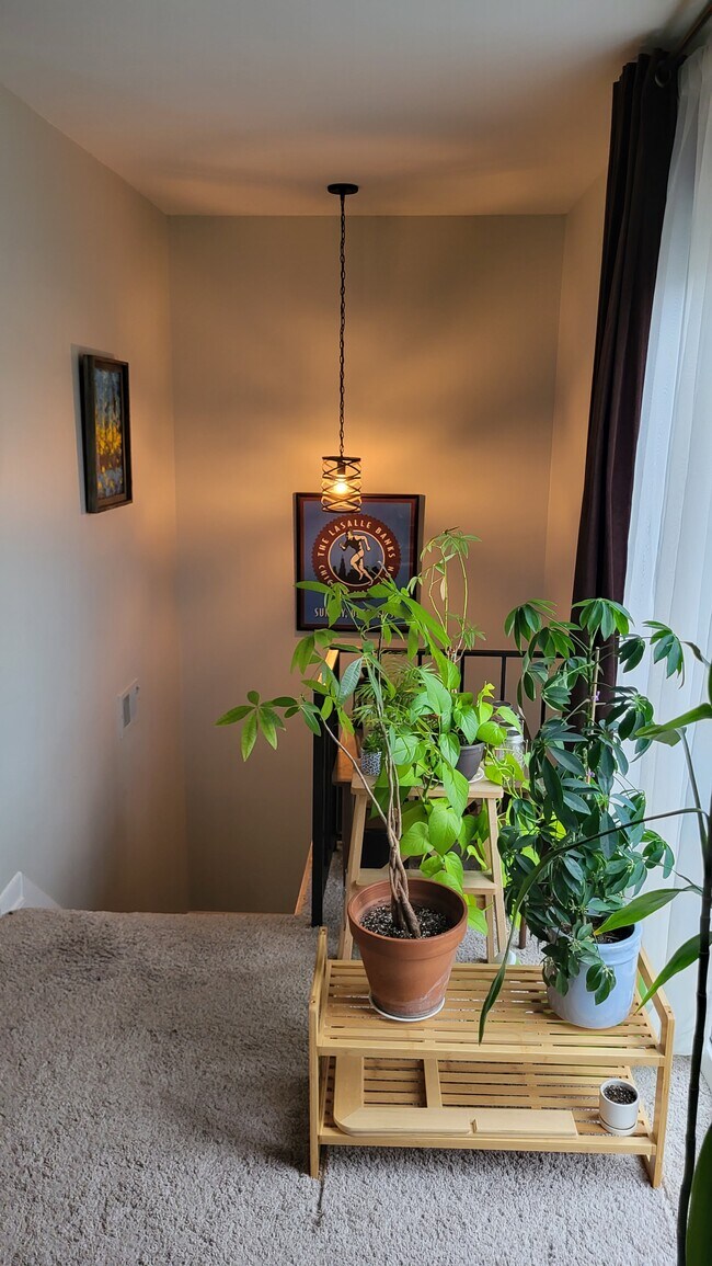 41509 Bedford Dr Unit Building 3, Canton, MI 48187 Condo for Rent in