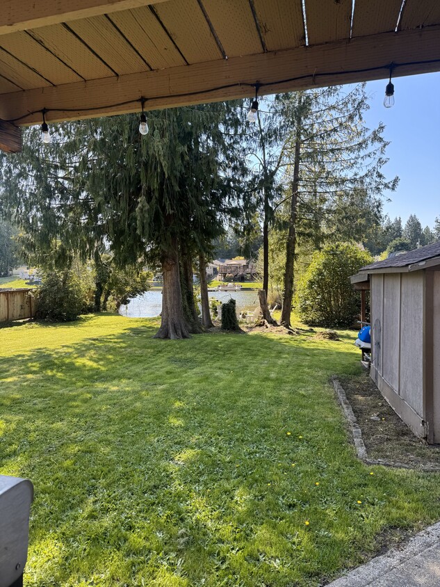 Backyard and Lake - 6009 205th Ave E