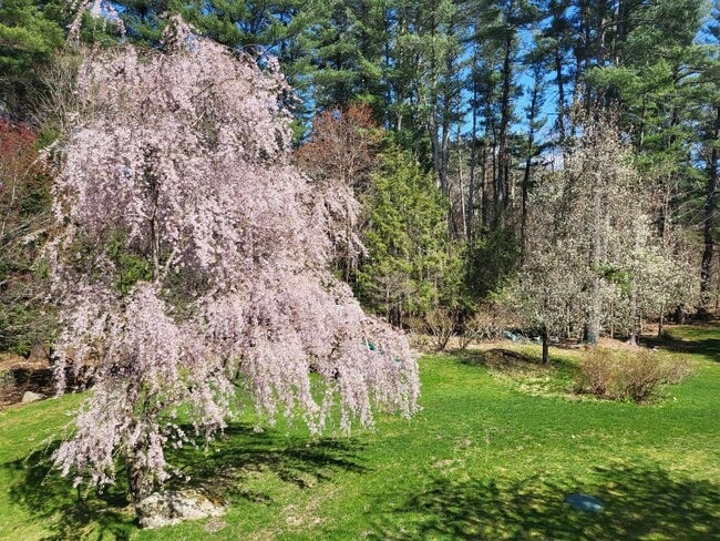 Photo - 423 Concord Rd House