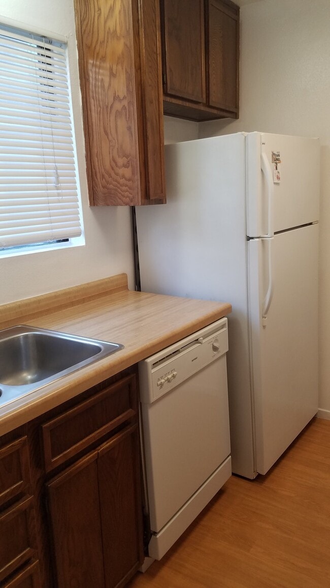 Building Photo - 1533 El Tigre Ct