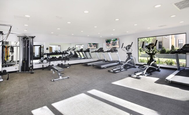 Interior Photo - Laguna Serrano