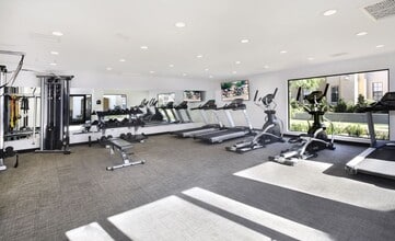 Interior Photo - Laguna Serrano