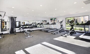 Interior Photo - Laguna Serrano